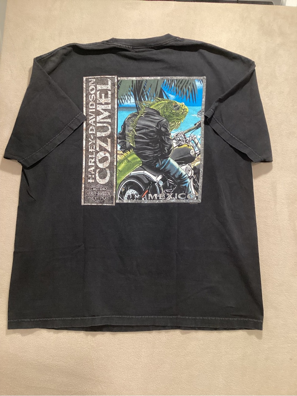 Harley-Davidson Black Cozumel Motorcycle Graphic Tee with Blue & Green Art